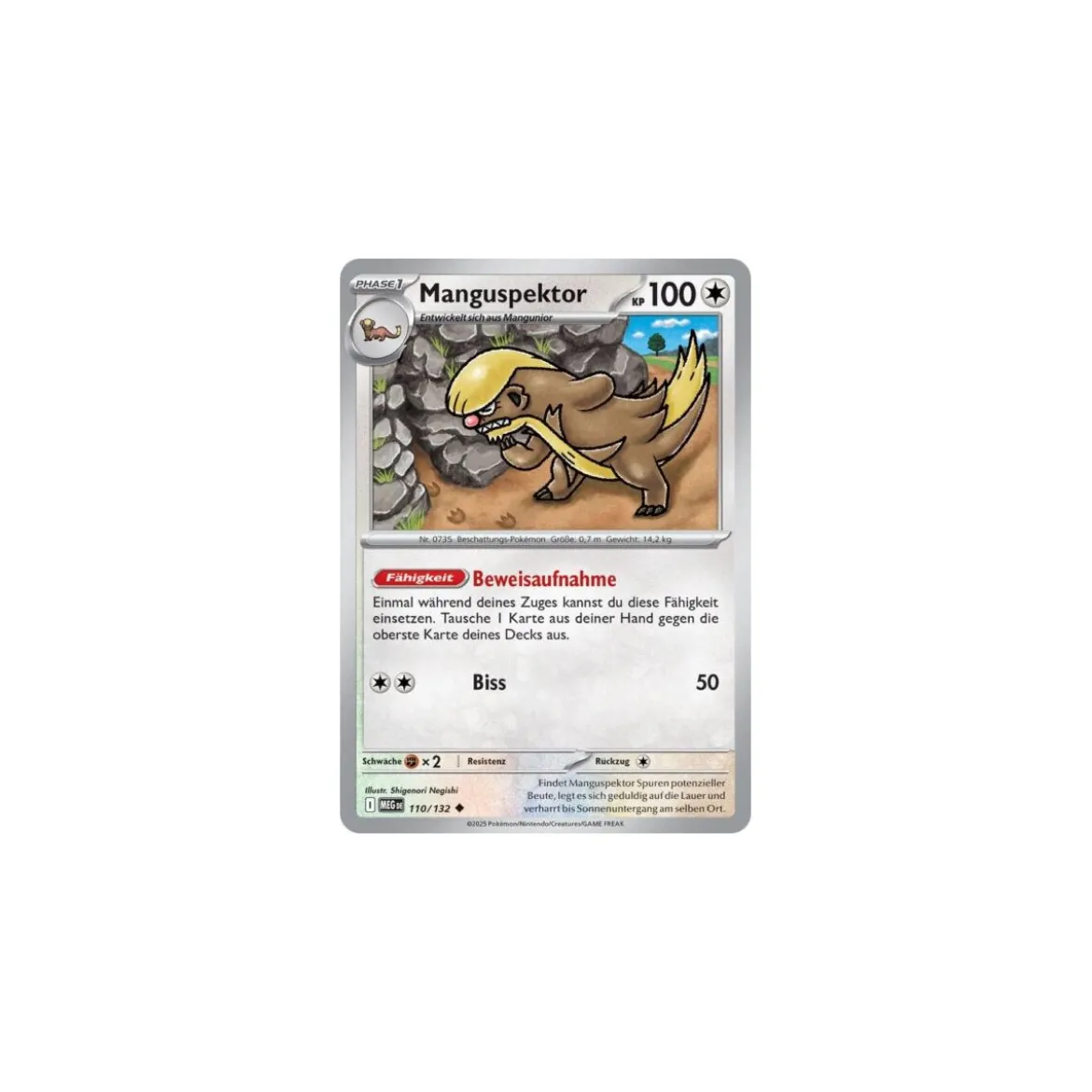 Manguspektor 110/132