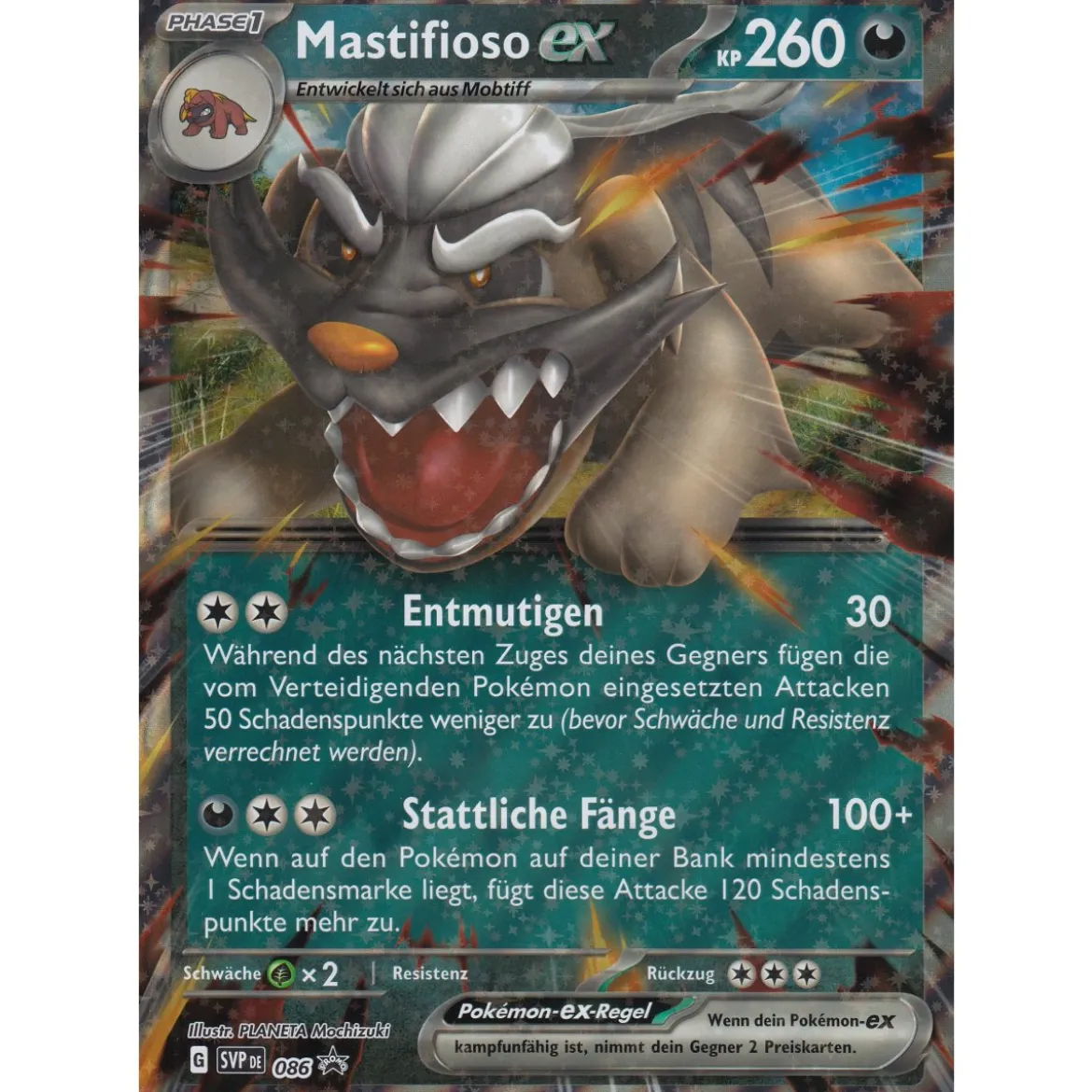 Mastifioso ex SVP086 PROMO XXL OVERSIZED/ÜBERGROß