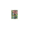 M-Bisaflor-EX 100/108 FULLART