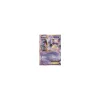 Mewtu-EX 052/108 HOLO
