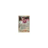 Mewtwo Delta Species DS-012 (ENG-bespielt)