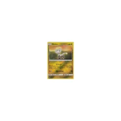 Miniras 52/70 REVERSE HOLO