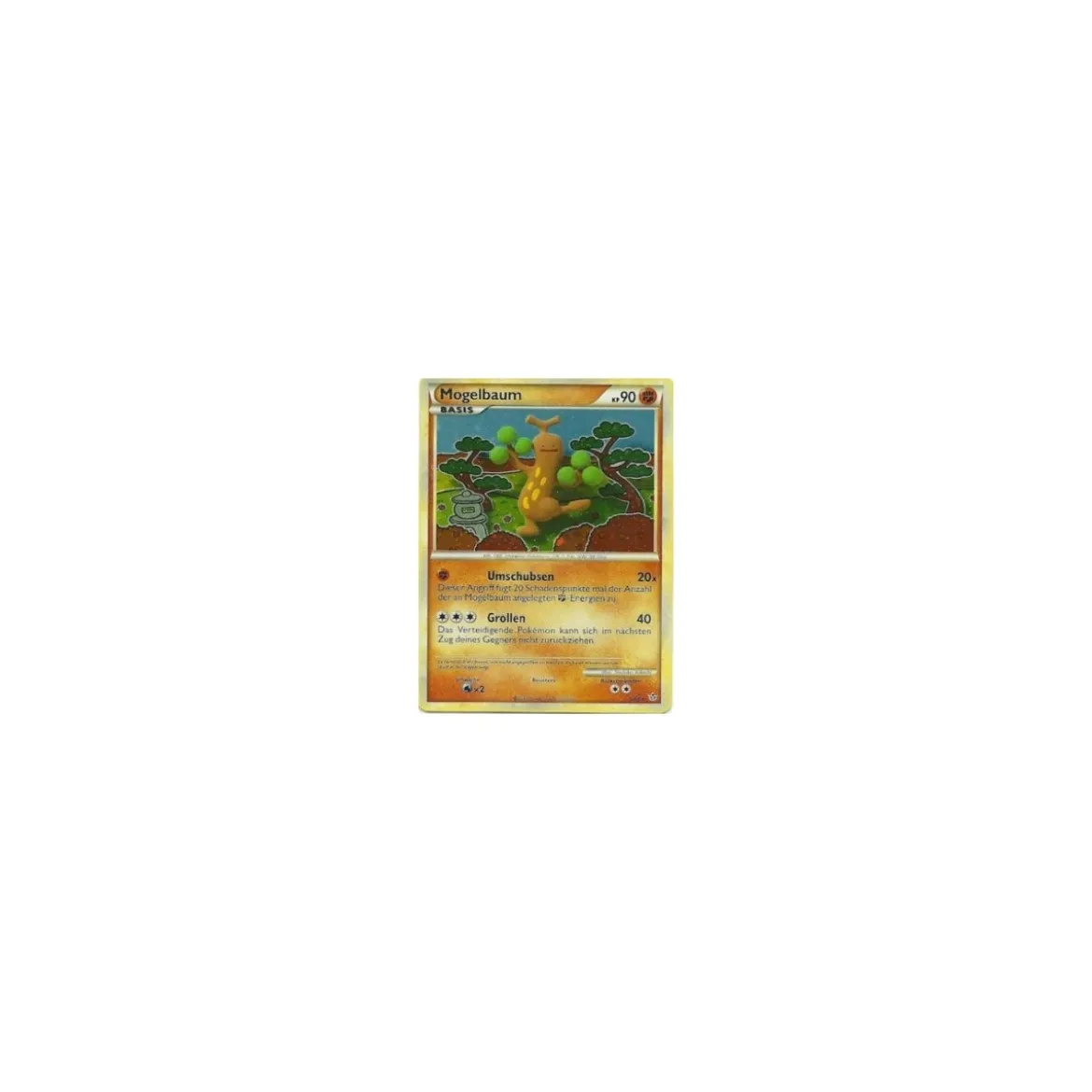 Mogelbaum HOLO