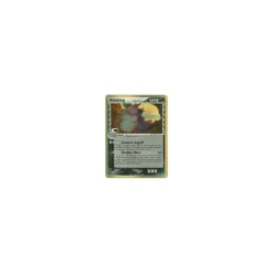 Nidoking HOLO