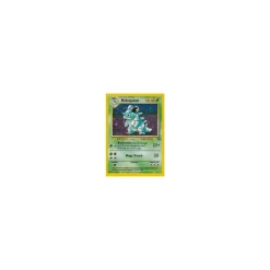 Nidoqueen 7/64 HOLO