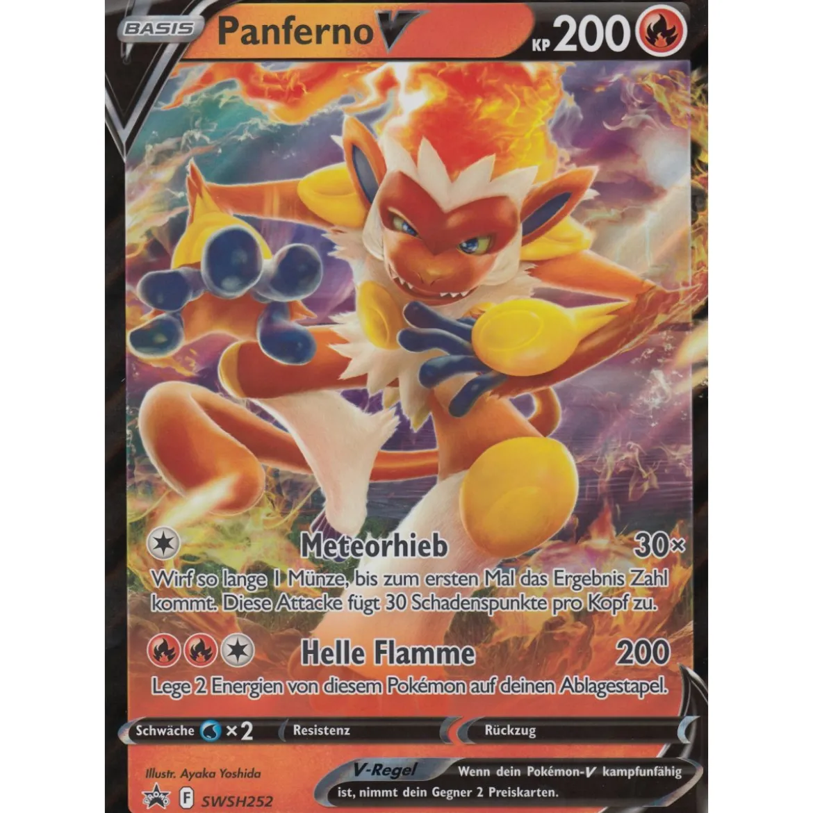 Panferno V SWSH252 PROMO XXL OVERSIZED/ÜBERGROß
