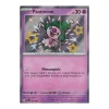 Pantimimi 157/091 Shiny