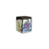 Paradox-Pokemon Frühjahr 2025 Stackable Tin (deutsch)