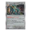 Patinaraja 042/064 Holo