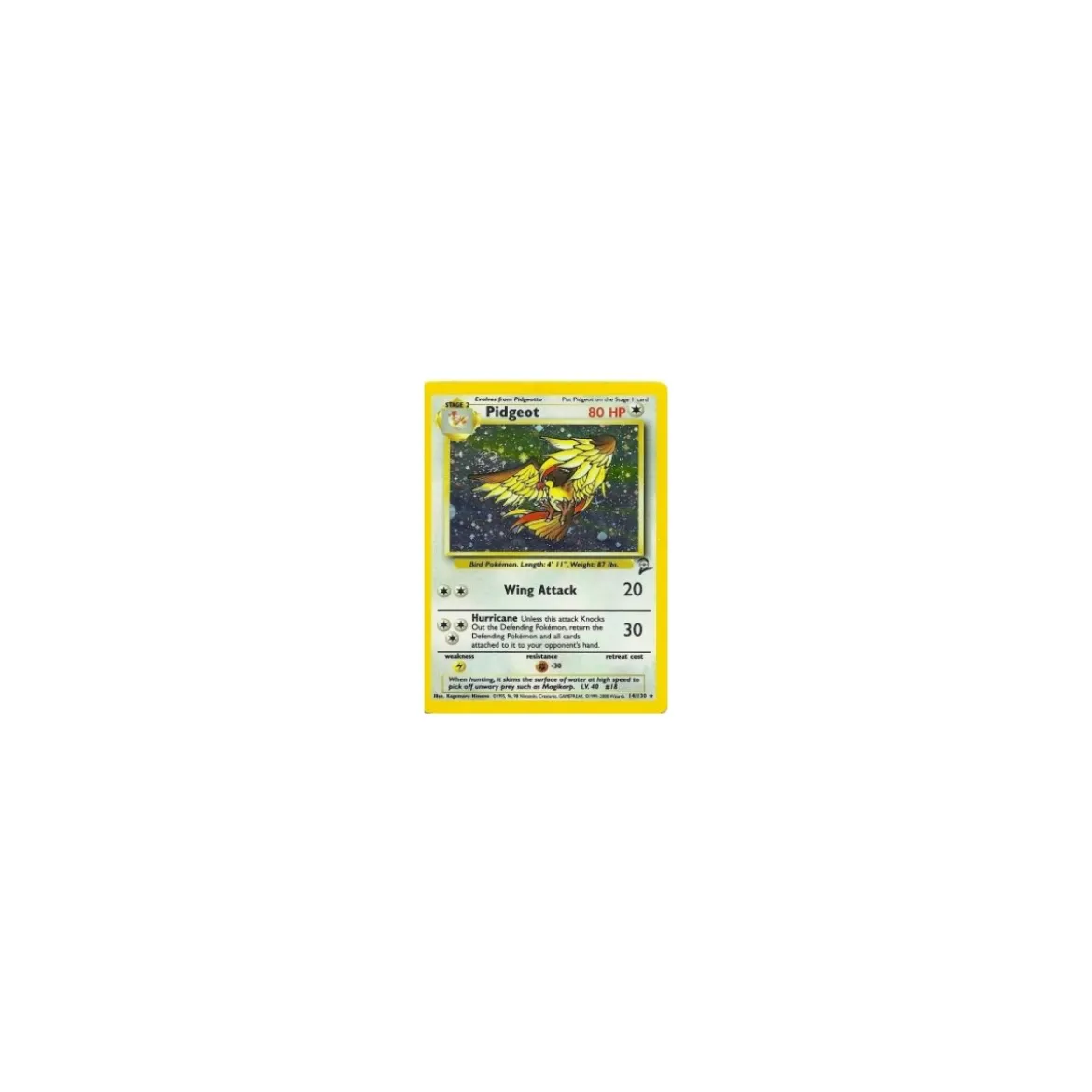 Pidgeot HOLO
