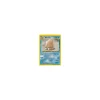 Piloswine 44/111