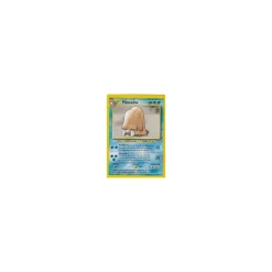 Piloswine 44/111