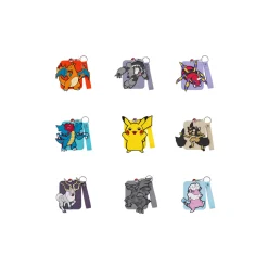 Pokemon Chinese Charizard Card Gift Box Mixed Vol. 2