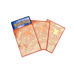 Pokemon Chinese Charizard VMAX Battle Set Gift Box