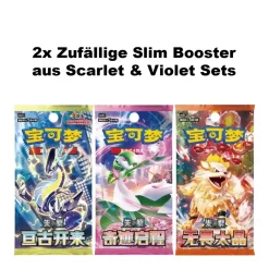 Pokemon Chinese Journey Battle Accessories Gift Box