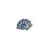 10 Pokemon Karten Holos