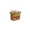 Pokemon - Mystery Box
