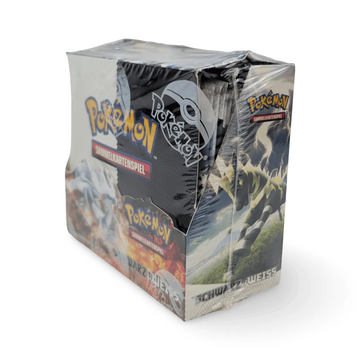 Pokemon Schwarz & Weiss Base Display (deutsch)