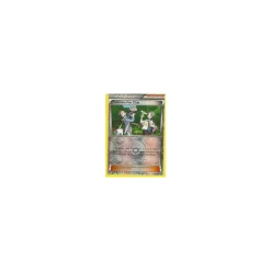 Pokémon Fan Club 094/106 REVERSE HOLO