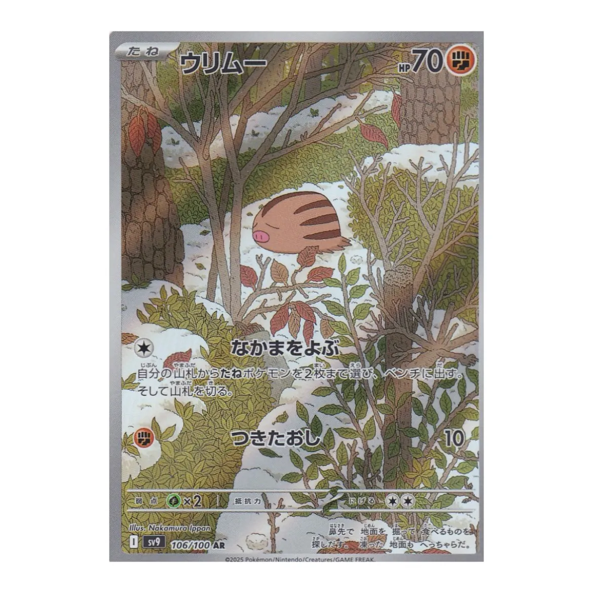 Quiekel 106/100 (japanisch)
