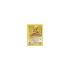 Raichu 29/62
