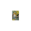 Raichu-GX 029/73 HOLO