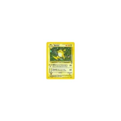 Raichu HOLO