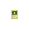 Raichu 014/102 Holo