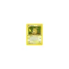 Raichu 14/62 Holo