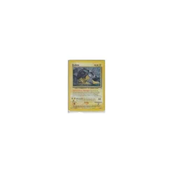Raikou 13/64 Holo