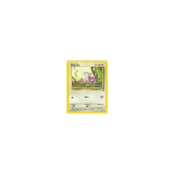 Rattata