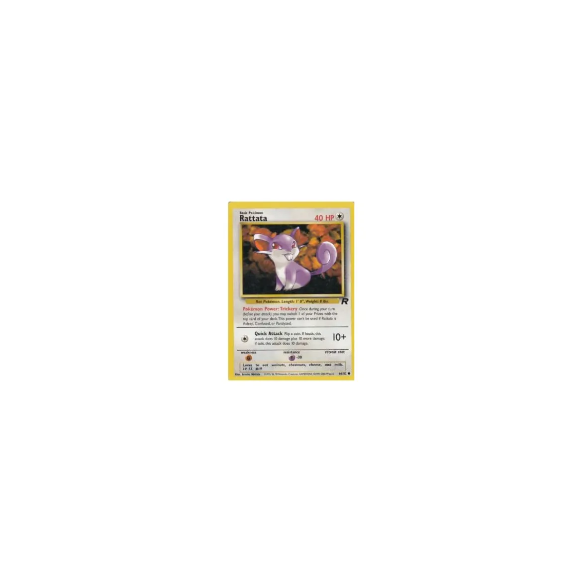 Rattata 66/82
