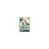 Rotom-Rad 63/073 REVERSE HOLO