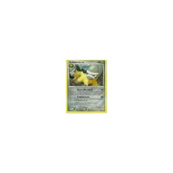 Schilterus HOLO