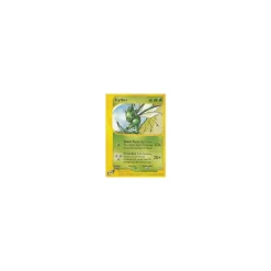 Scyther 57/147 BESPIELT