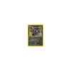 Sneasel 24/64