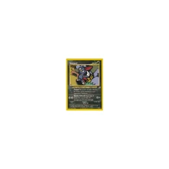 Sneasel 24/64