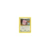Snubbull 074/111