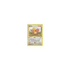 Spearow 62/64