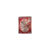 Star Pack ARC-V Beginner's Kit inklu. Sammelalbum