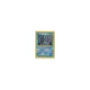 Suicune 14/64 Holo