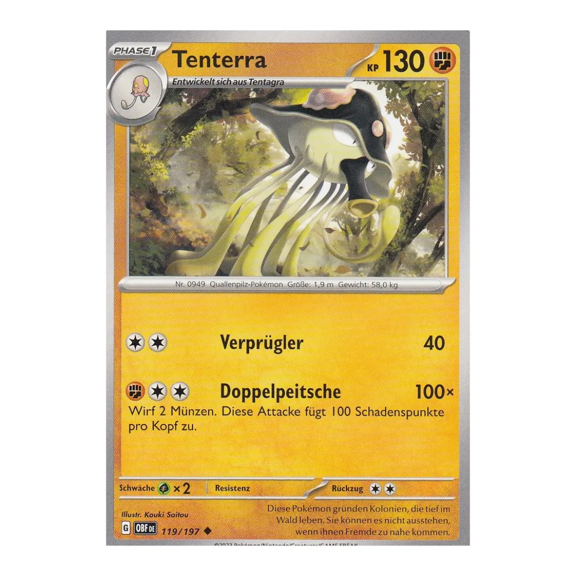 Tenterra 119/197