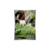 Togedemaru 104/094 Illustration Rare