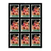 Ultra Pro 9-Card Black Border Frame - One Touch Magnetic Holder (Für 9 Karten)