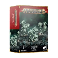 Warhammer Age of Sigmar Nighthaunt Spirit Hosts (93-08)