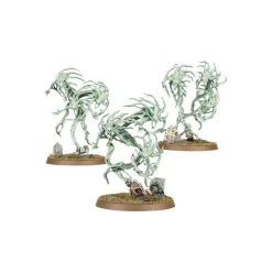 Warhammer Age of Sigmar Nighthaunt Spirit Hosts (93-08)