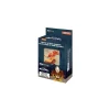 Weiss Schwarz - Avatar: The Last Airbender Trial Deck Plus (englisch)