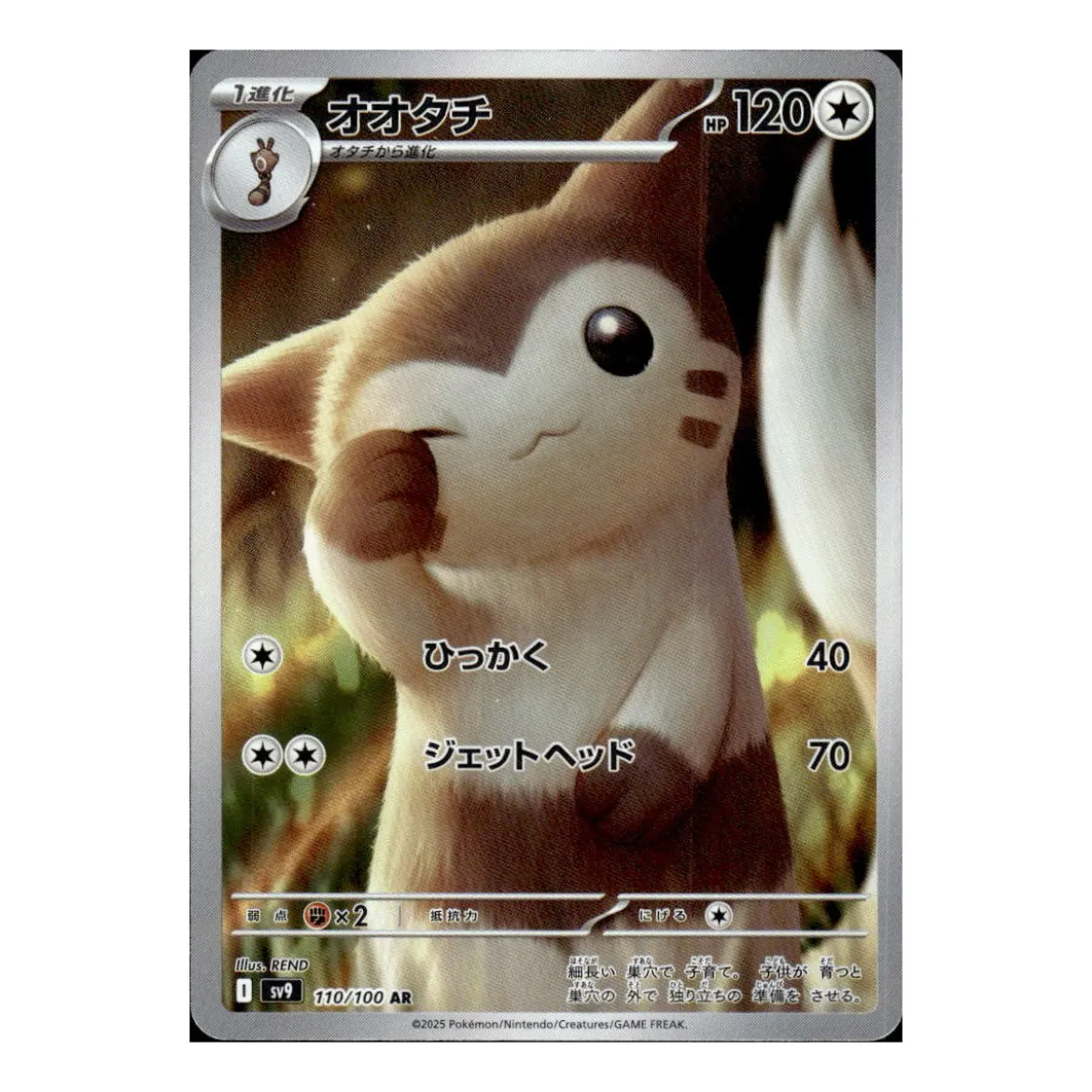 Wiesenior 110/100 (japanisch)